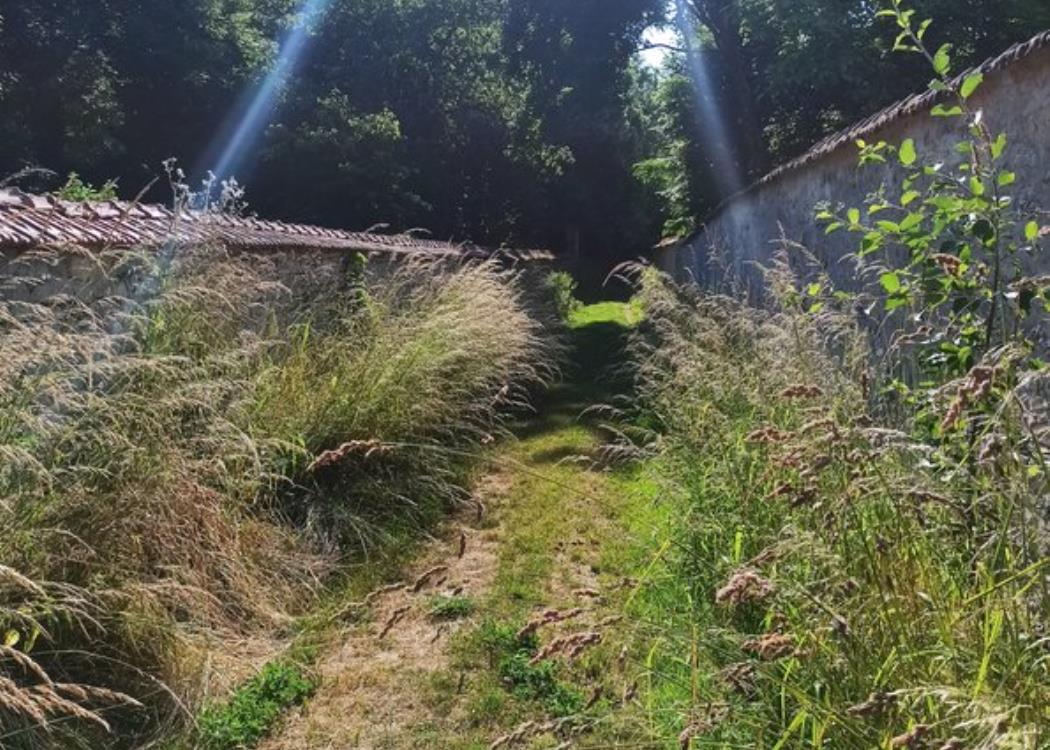 cheminRayonSoleil-Trigny
