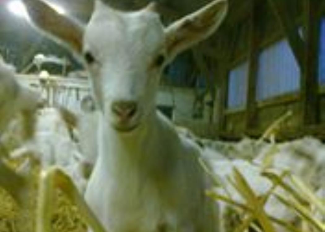 chevresargonne-villers chevresargonne-villers