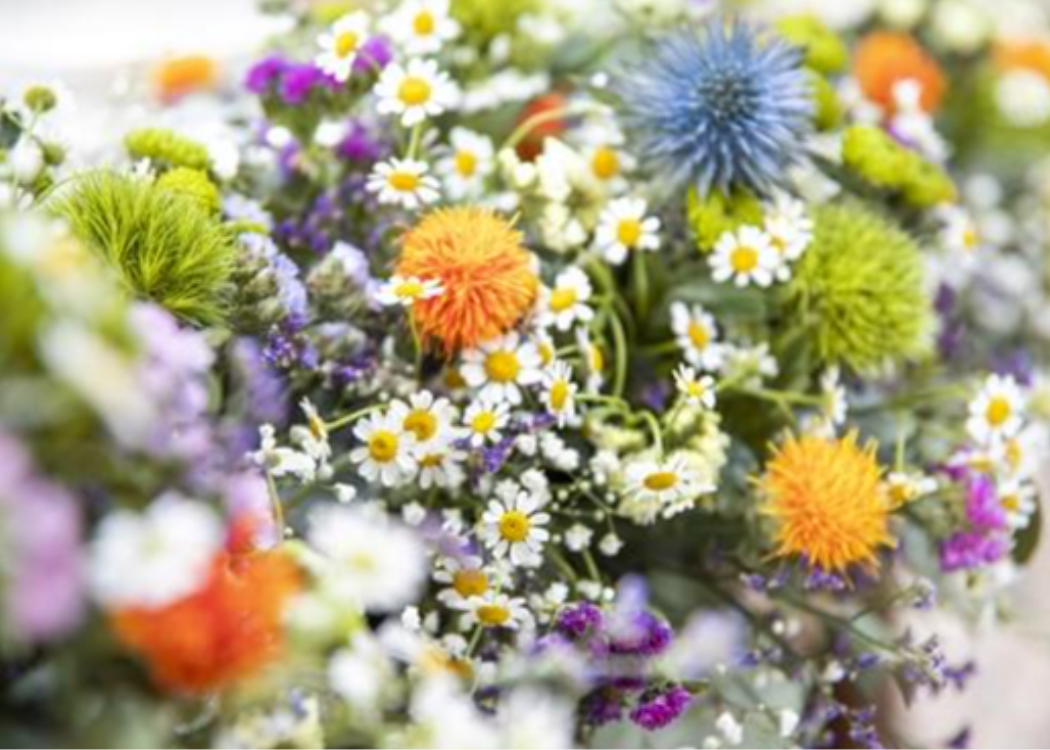 composition florale composition florale