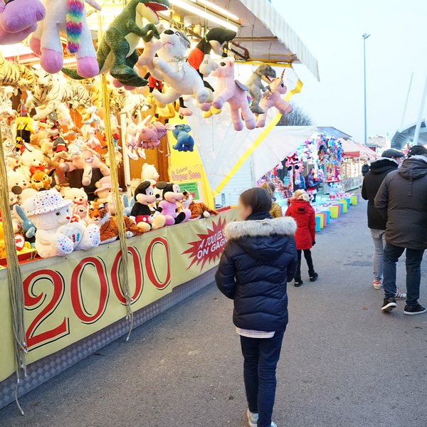 La foire de Noël et des Rois - DR