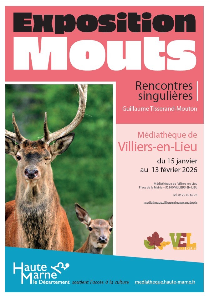 Exposition Mouts