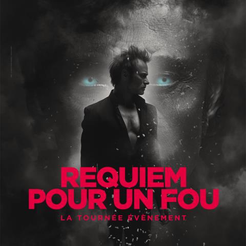 David Hallyday - Requiem pour un fou_1