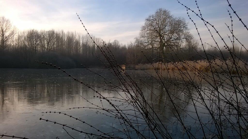 Le Rondin Nature