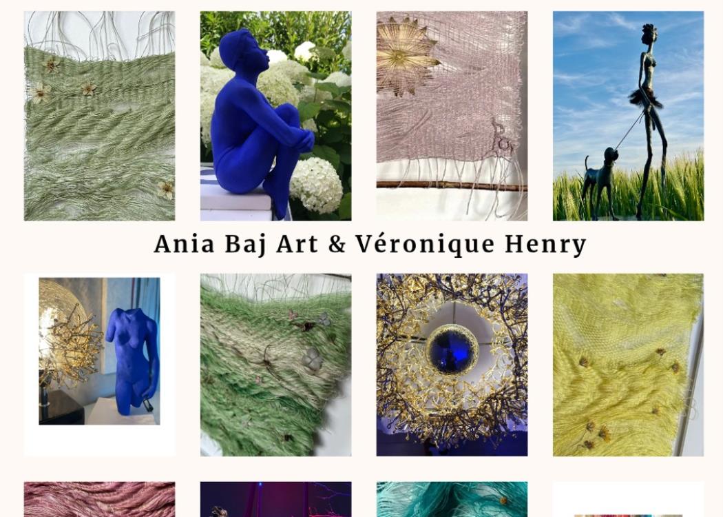 exposition-ania-baj-art-veronique-henry