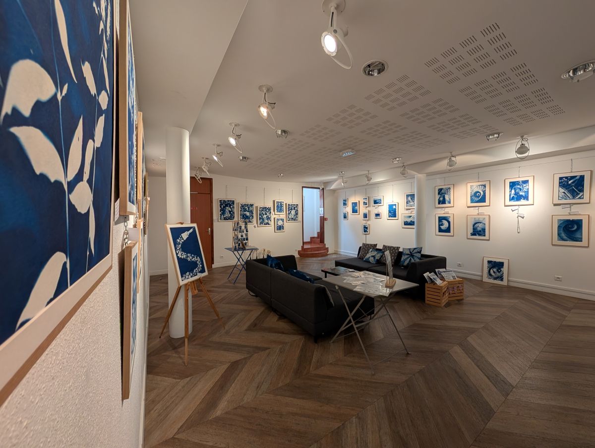 exposition-cyanotypes-chalons-en-champagne - OT Châlons