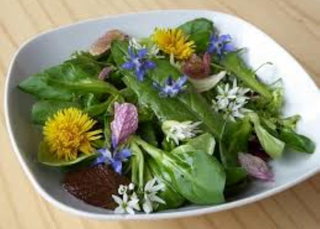 fleurs comestibles fleurs comestibles