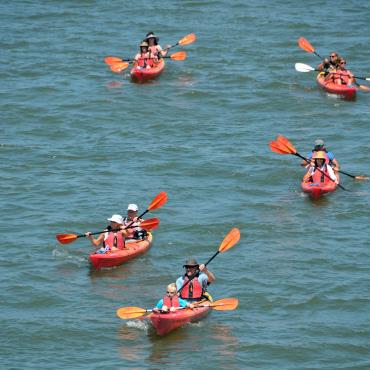 Escapades : Sortie en kayak au Lac du Der Le 24 juil 2024