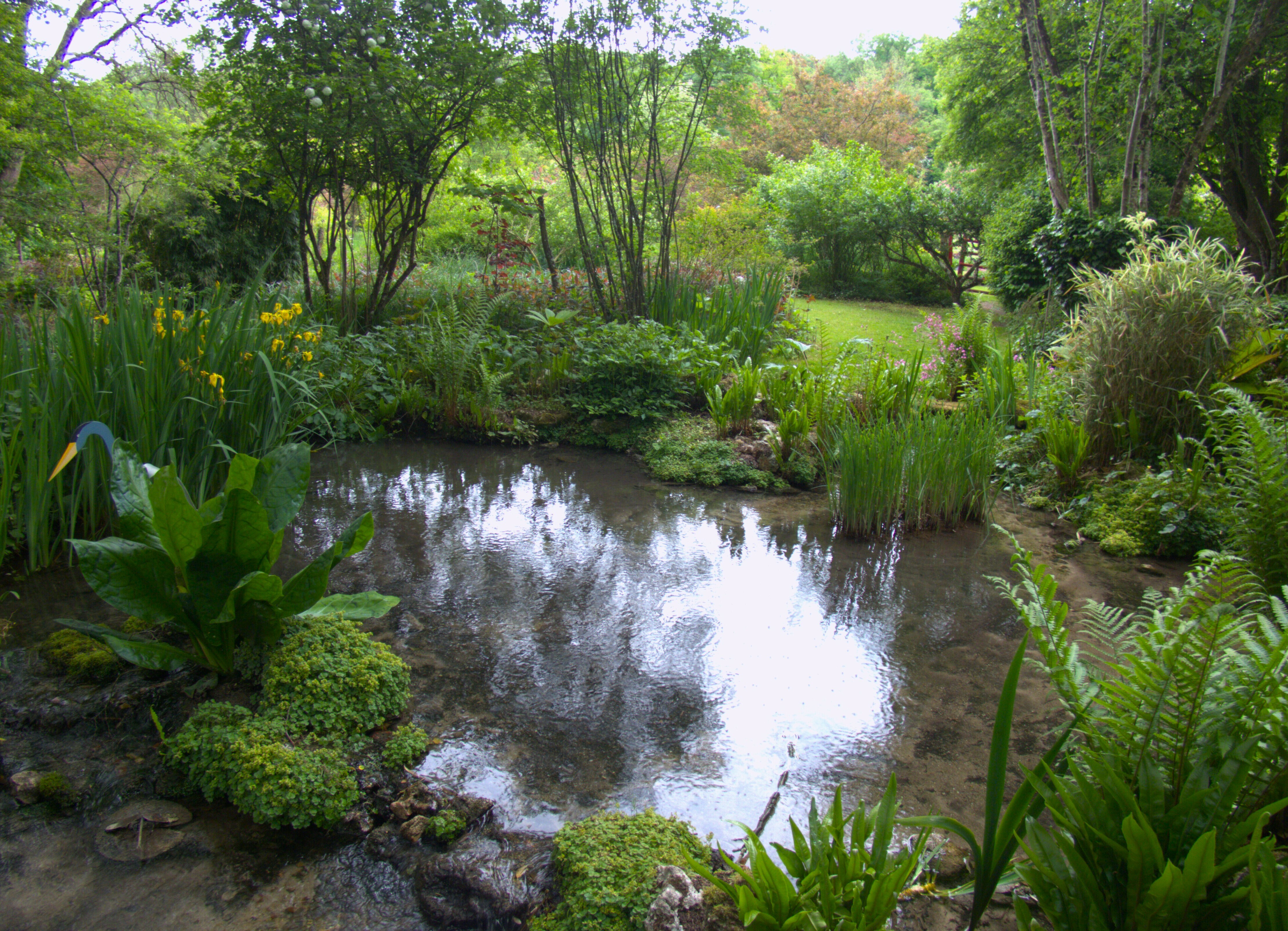 le jardin de l'eau vive - Jardin de l'eau Vive