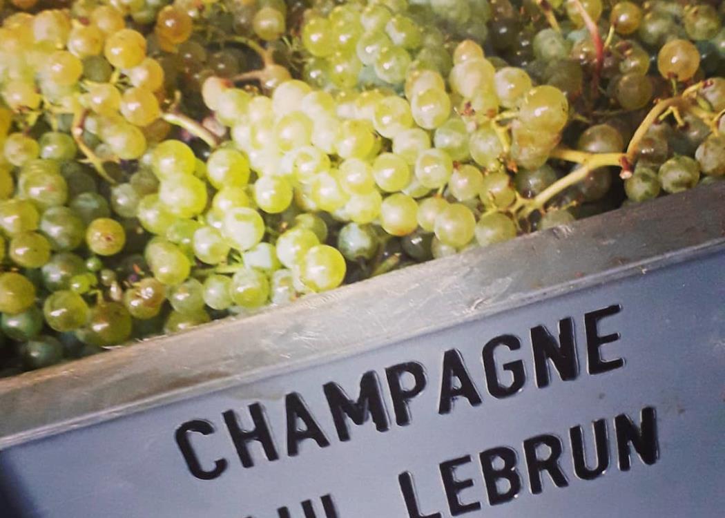 Champagne Paul Lebrun