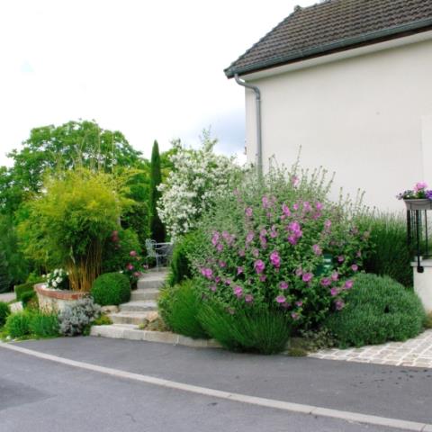 les-tilleuls-fontaine-sur-ay-51