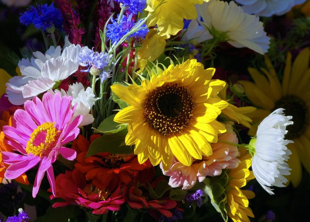 marché aux fleurs 