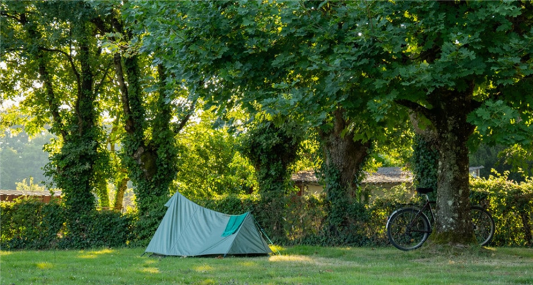only camp