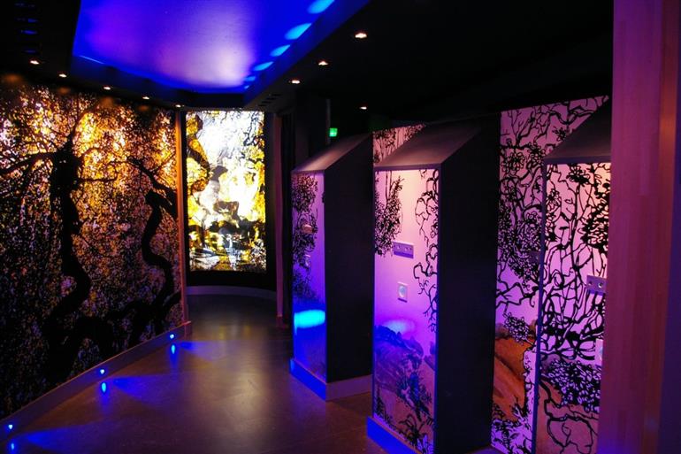 phare-de-verzenay-visite @ CCVMR