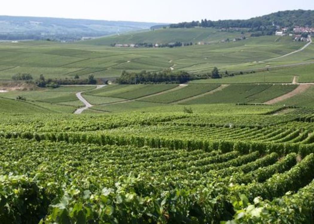 Panoramic Tour - Mutigny