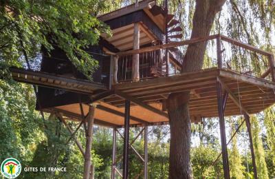 Cabane Pinot - Nanteuil la Forêt