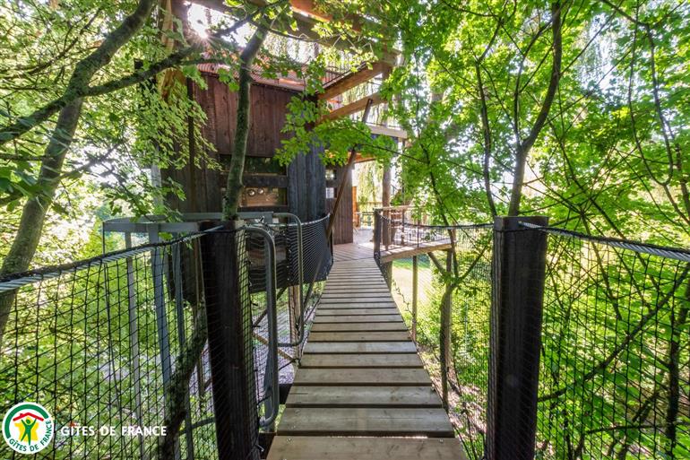 Cabane Pinot - Nanteuil la Forêt