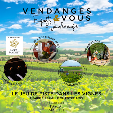 Fascinant Week-end V&D : Jeu de pistes dans les vignes - Champagne Pascal Machet