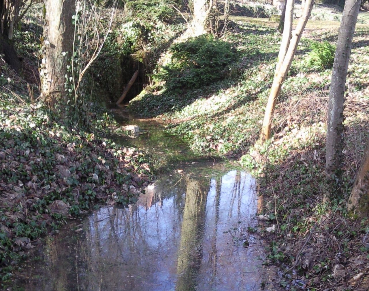 PARC DU CHATEAU DE PRAUTHOY