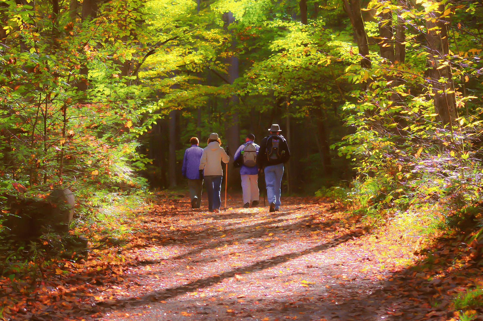 28e édition des Journées du Patrimoine de Pays
