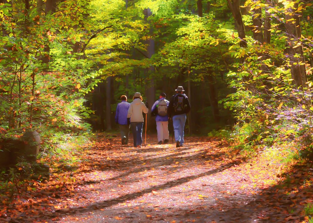 randonnee-2©Pixabay