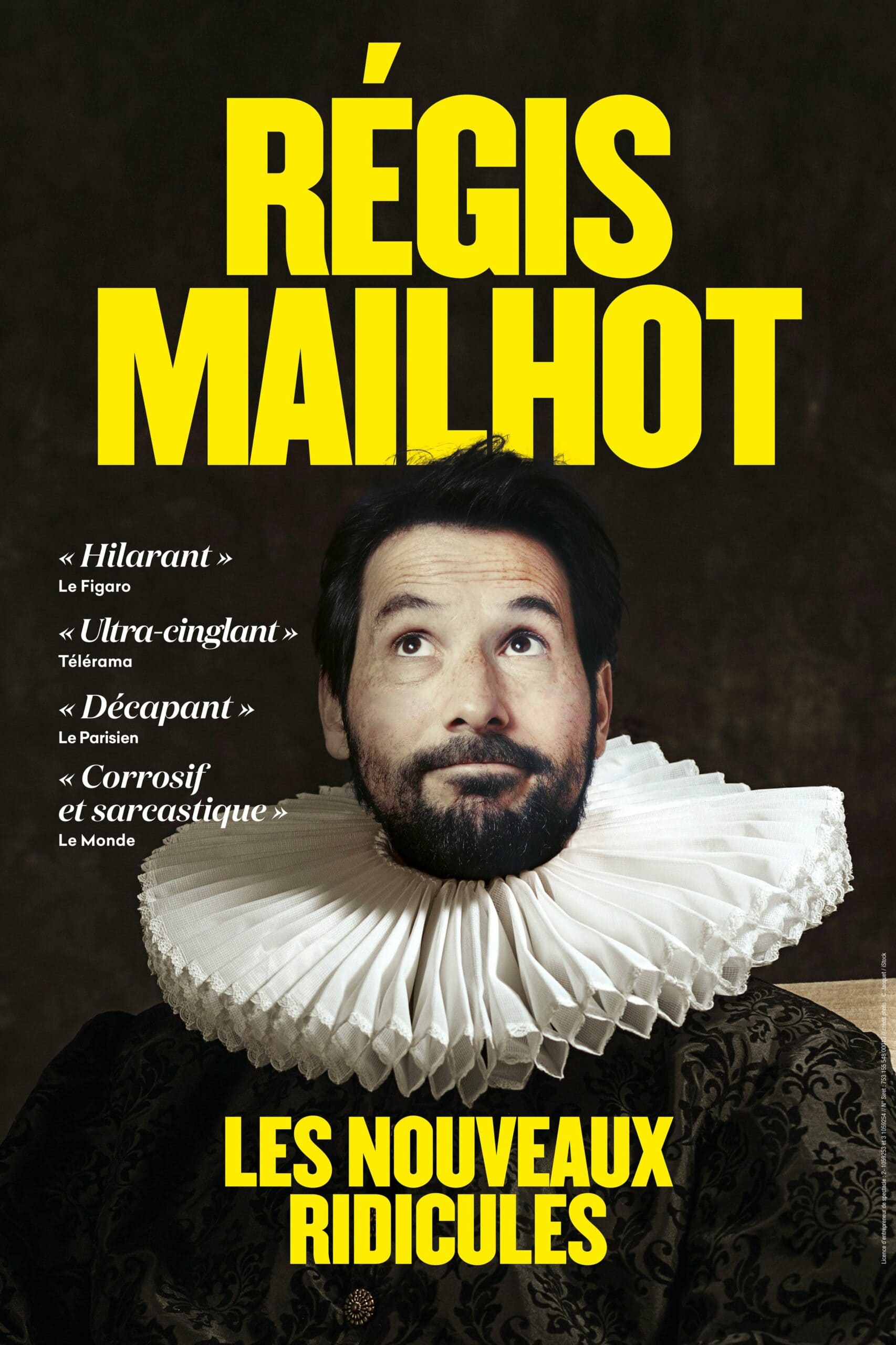 regis_mailhot_spectacle_VO2-scaled (1) - regis_mailhot