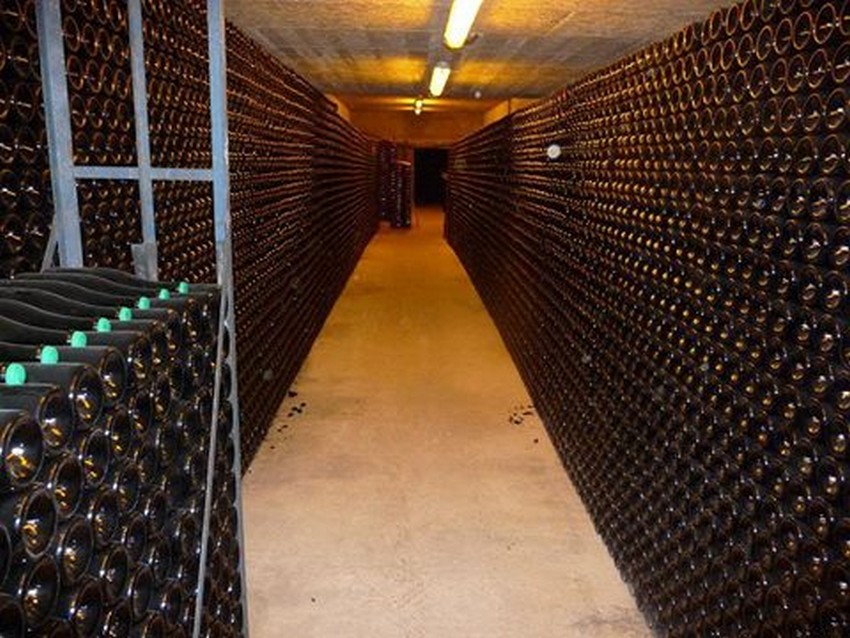 Visite des caves - Champagne Roger-Constant Lemaire