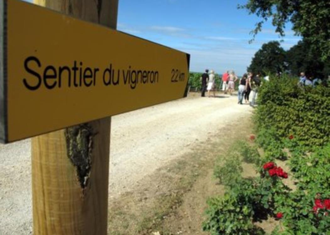 Le Sentier du Vigneron
