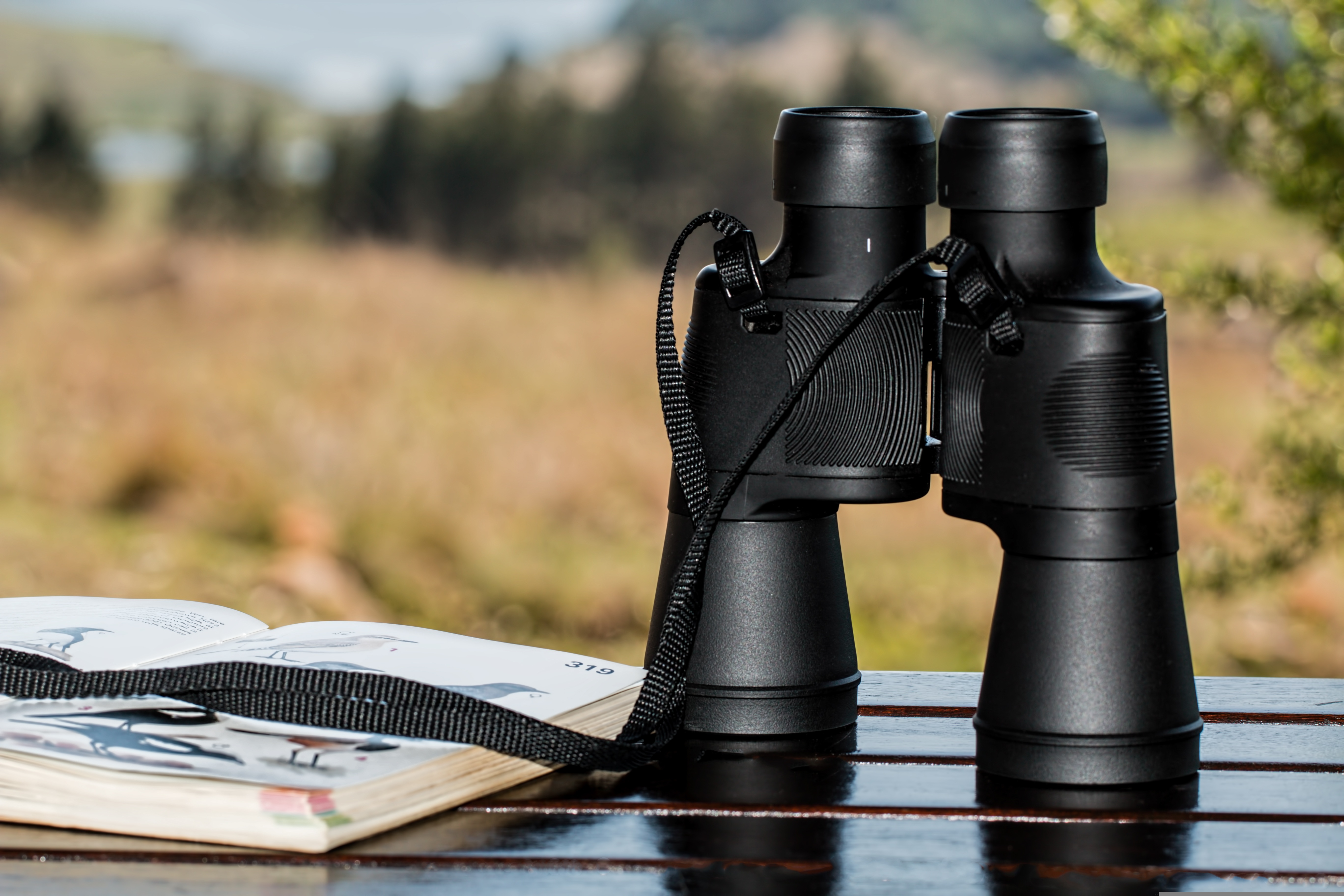 stevepb-binoculars-995779 - Pixabay