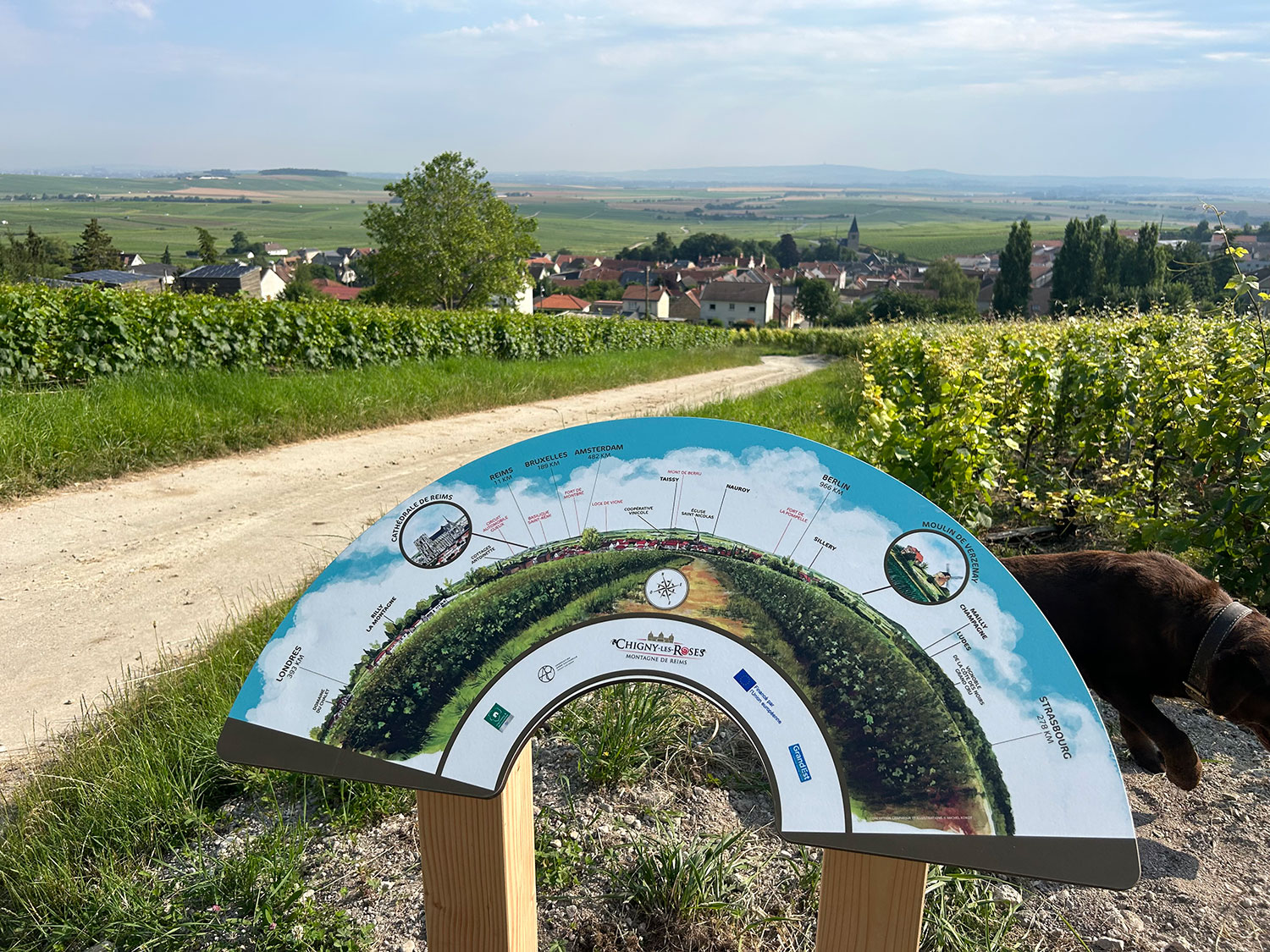 Sentier viticole de Chigny les Roses - ADT Marne