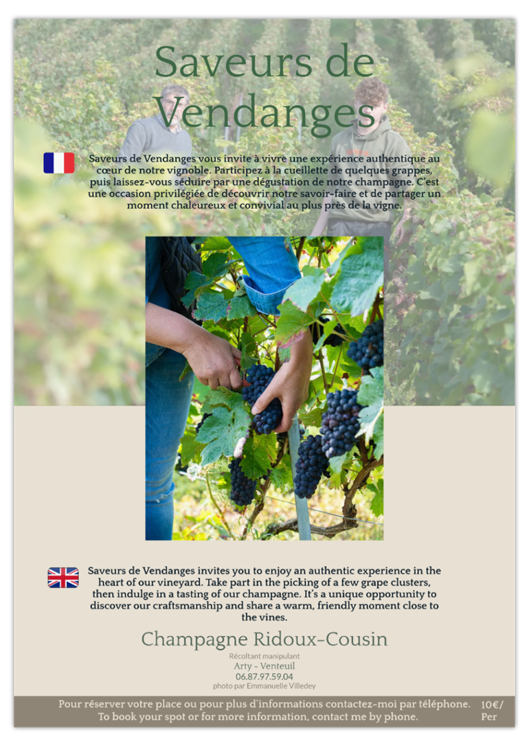 Chp Ridoux-Cousin Venteuil Vendanges 2026
