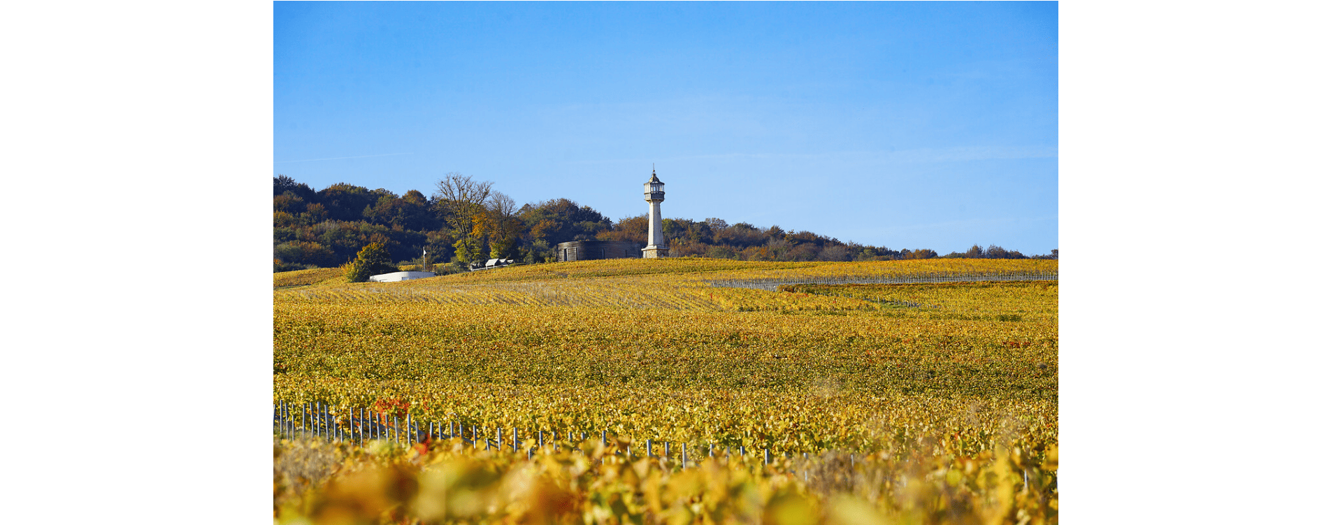 phare verzenay - Ville de Reims