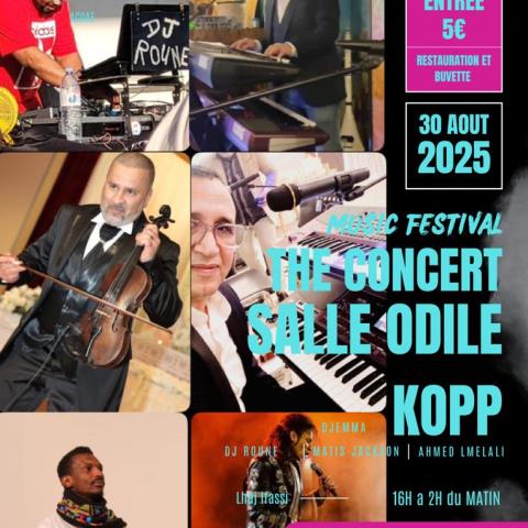 Music Festival The Concert_1 Music Festival The Concert_1