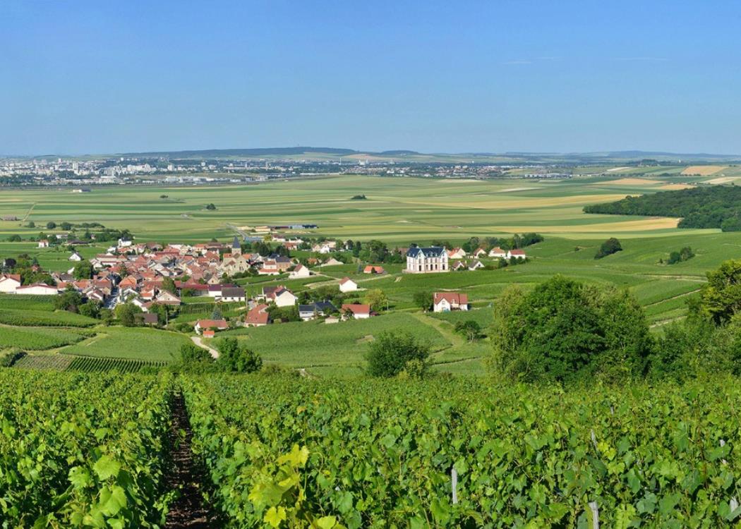 thumbnail_114 et 115 Sacy - Petite Montagne de Reims, et Reims (Marne)