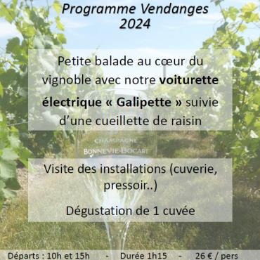 Balade en voiturette électrique spéciale vendanges avec le Champagne Bonnevie-Bocart