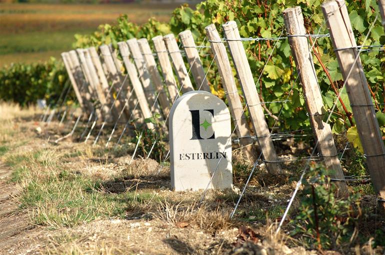vignoble ESTERLIN - commune de Mancy