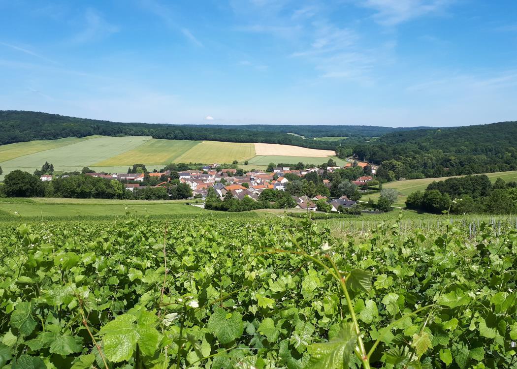 Panoramic Tour - village_de_louvois@oti_hautvillers (5)