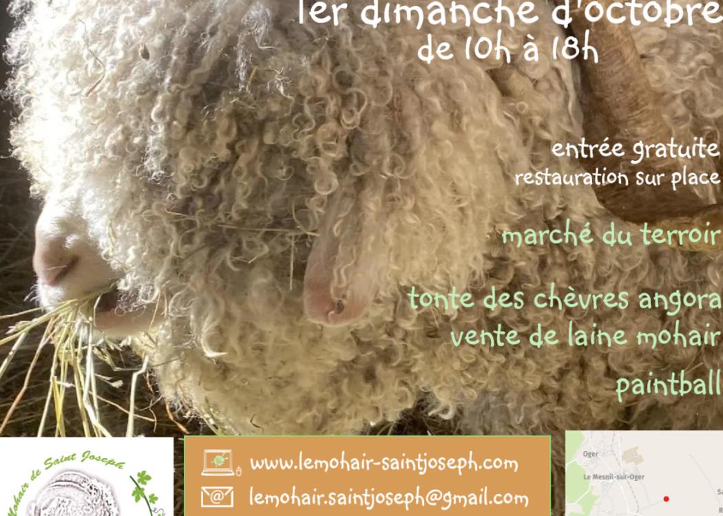 la fête de la tonte/ la tonte la fête de la tonte/ la tonte